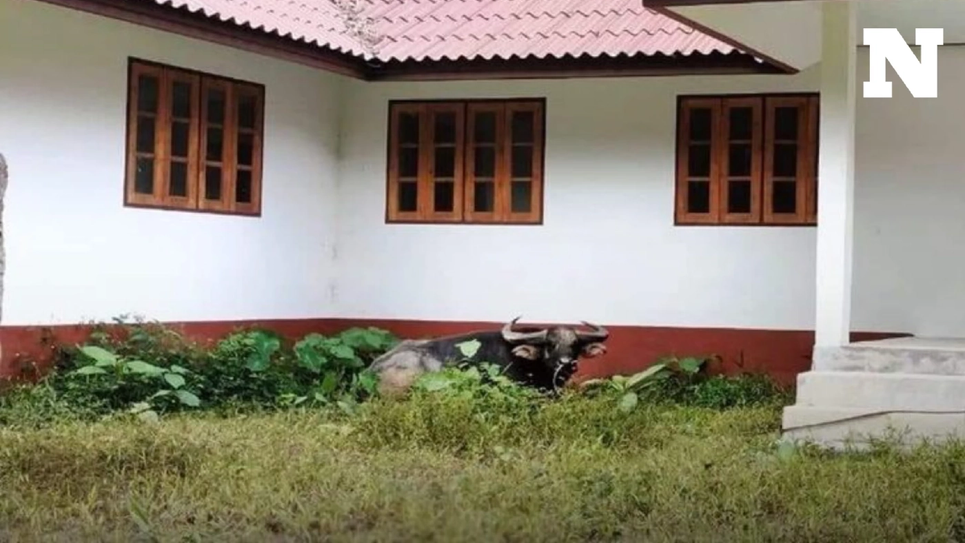 ทสจ.สตูล สั่งเด้งควาย หลังเพจดังแฉ อาคารในสังกัดถูกทิ้งร้างจนทุยเข้าอยู่ ทสจ.สตูล สั่งเด้งควาย หลังเพจดังแฉ อาคารในสังกัดถูกทิ้งร้างจนทุยเข้าอยู่