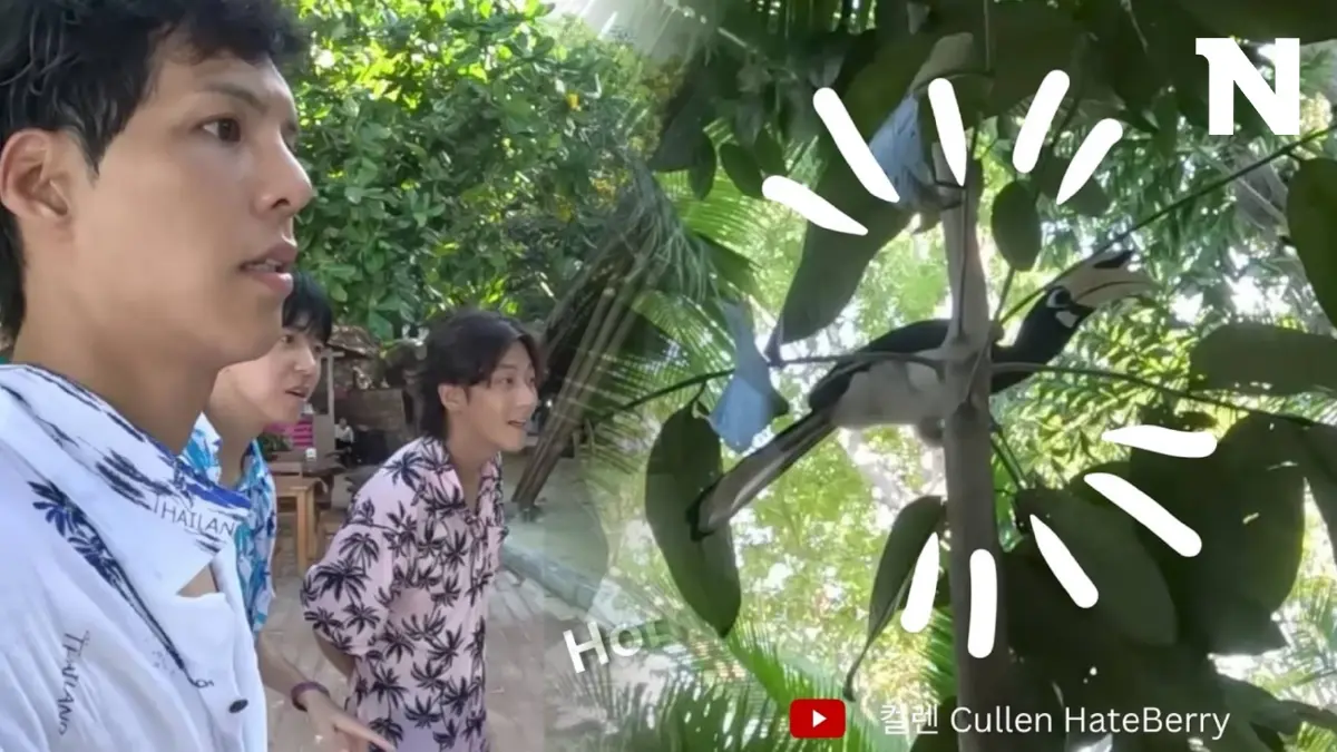 ชวนรู้จัก "นกสามปาก" ที่ "พี่จอง-คัลแลน" สงสัย หลังกรมอุทยานฯ ออกมาเฉลย ชวนรู้จัก "นกสามปาก" ที่ "พี่จอง-คัลแลน" สงสัย หลังกรมอุทยานฯ ออกมาเฉลย