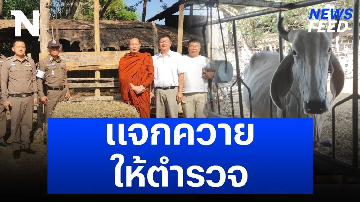 โครงการดีๆ “ตำรวจเลี้ยงควาย” สร้างรายได้จุนเจือครอบครัว โครงการดีๆ “ตำรวจเลี้ยงควาย” สร้างรายได้จุนเจือครอบครัว