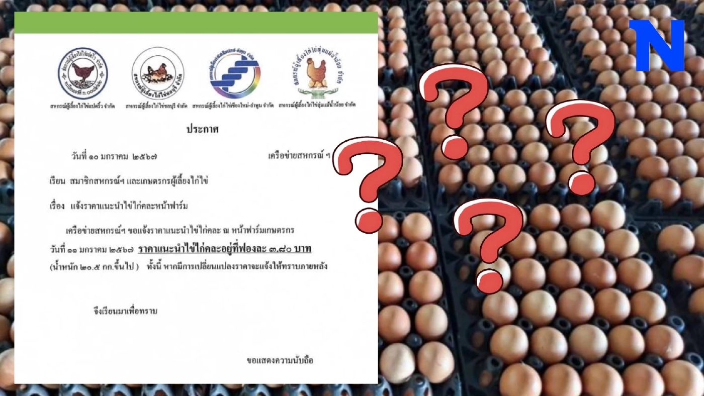 ไข่ไก่ดรามา สมาคมผู้เลี้ยงฯ ประกาศราคาแนะนำใหม่ ชาวบ้านงง สรุปขึ้นหรือลง
