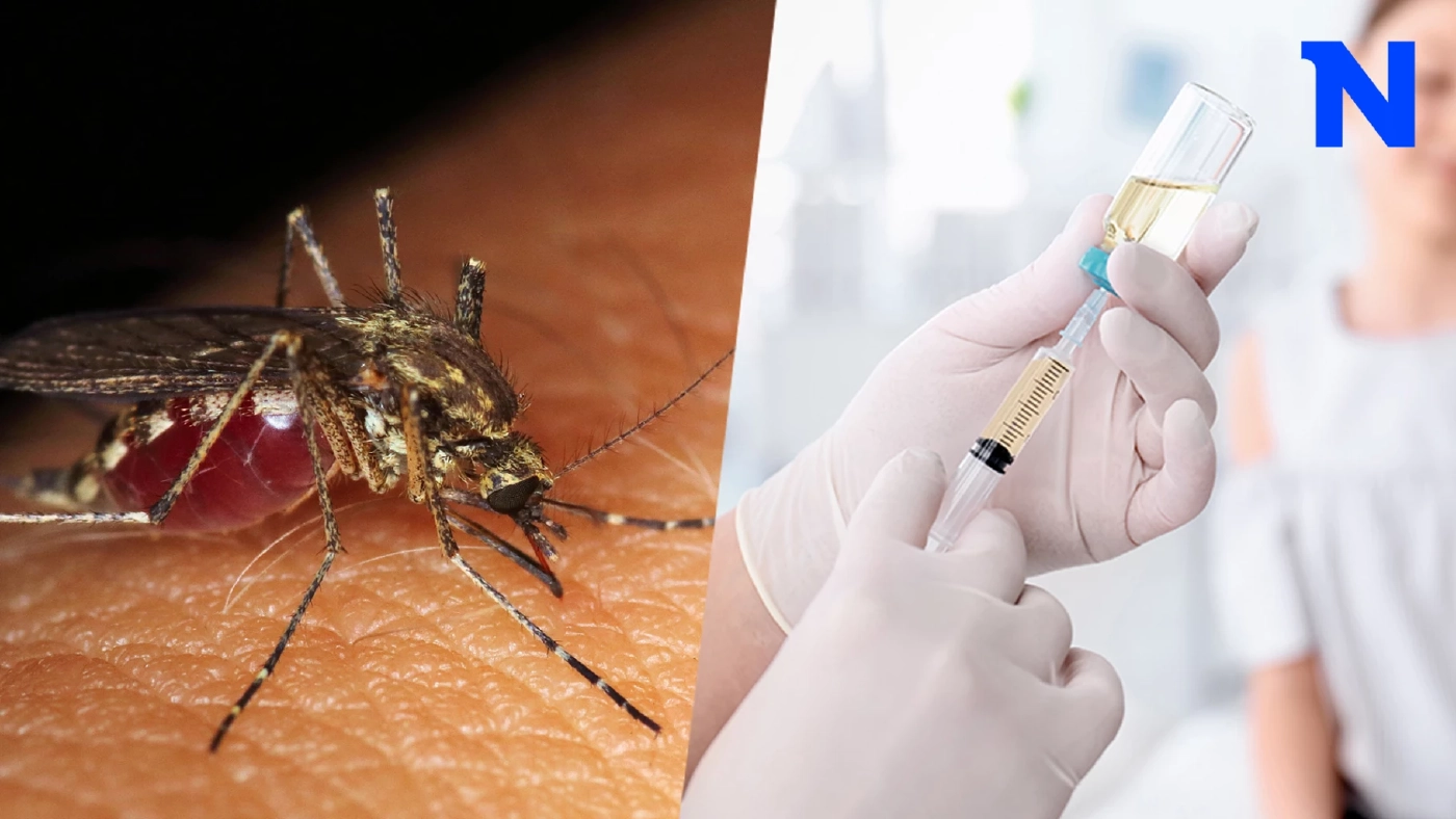 รู้หรือไม่? "ไข้เลือดออก" ภัยร้ายคร่าชีวิต ป้องกันได้ด้วย "วัคซีน"