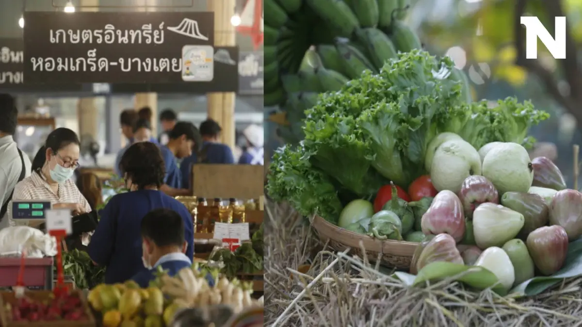 พร้อมแล้ว กิจกรรมรักษ์โลก "สังคมสุขใจ ครั้งที่ 9" ตอบโจทย์เทรนด์โลกสายกรีน