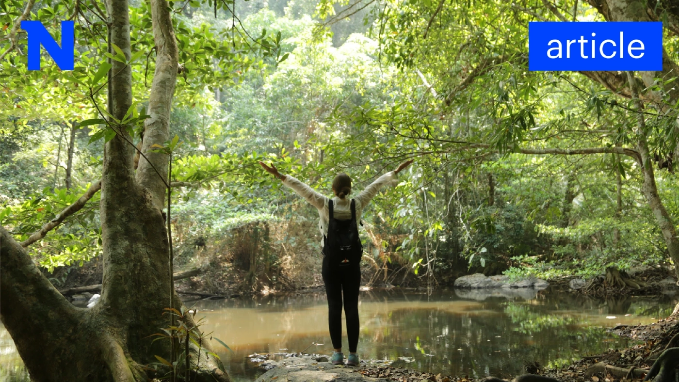 ชวนเดินป่าพักใจที่ "เขาใหญ่" ทิ้งความวุ่นวายสูดอากาศธรรมชาติให้เต็มปอด