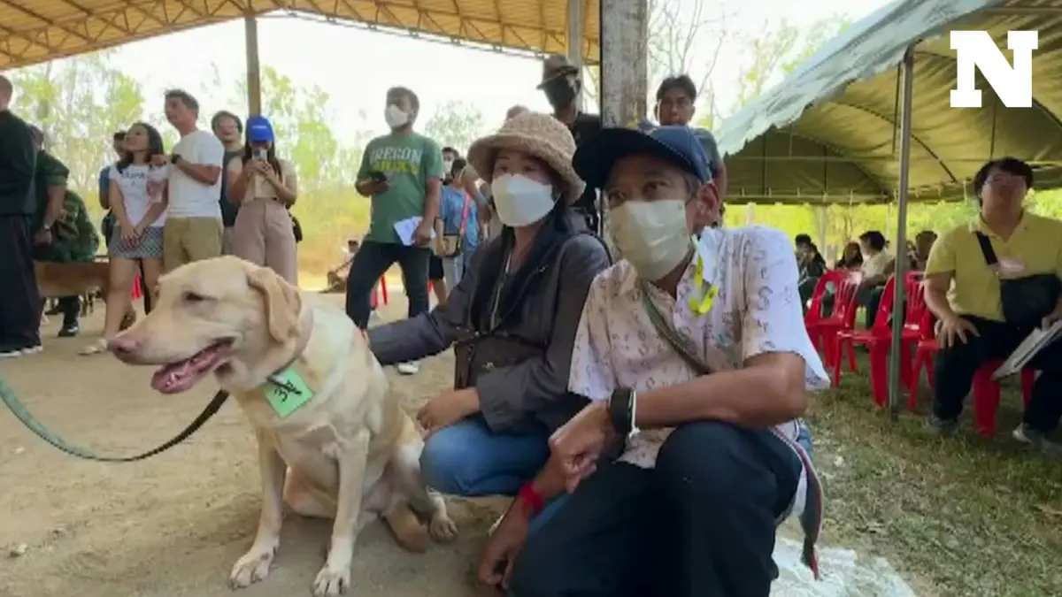 เผยภาพ "น้องลีแอน" สุนัขทหาร ประมูลสูงสุด 9.5 หมื่น เจ้าของใหม่ เผย ตั้งใจเลี้ยงเหมือนลูก