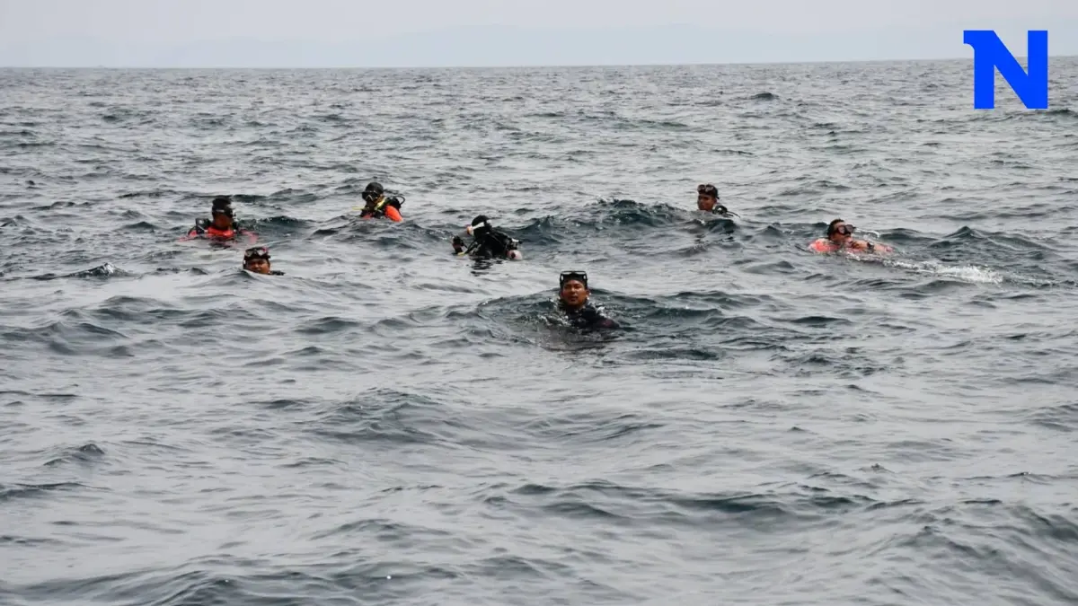 กรมอุทยานฯ-กรมทะเลชายฝั่ง เร่งสำรวจหา "วาฬโอมูระเผือก" เพื่อทำการศึกษาทางวิชาการ