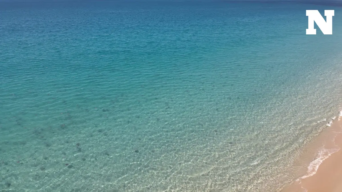 ชวนรู้จัก ปรากฏการณ์ "IOD" ปัจจัยทำ "แพลงก์ตอน-แมงกะพรุน" ท่วมท้องทะเล