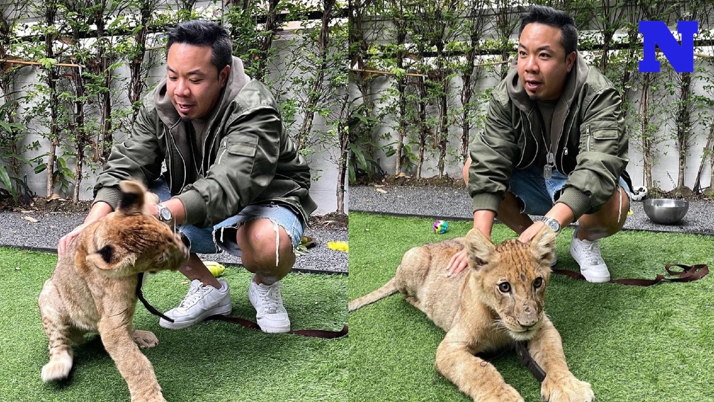 “ดีเจภูมิ” เคลียร์ดราม่าเลี้ยงสิงโต ยัน! ไม่ฟอกเงินรวยจริงไม่ใช่คอนเทนต์