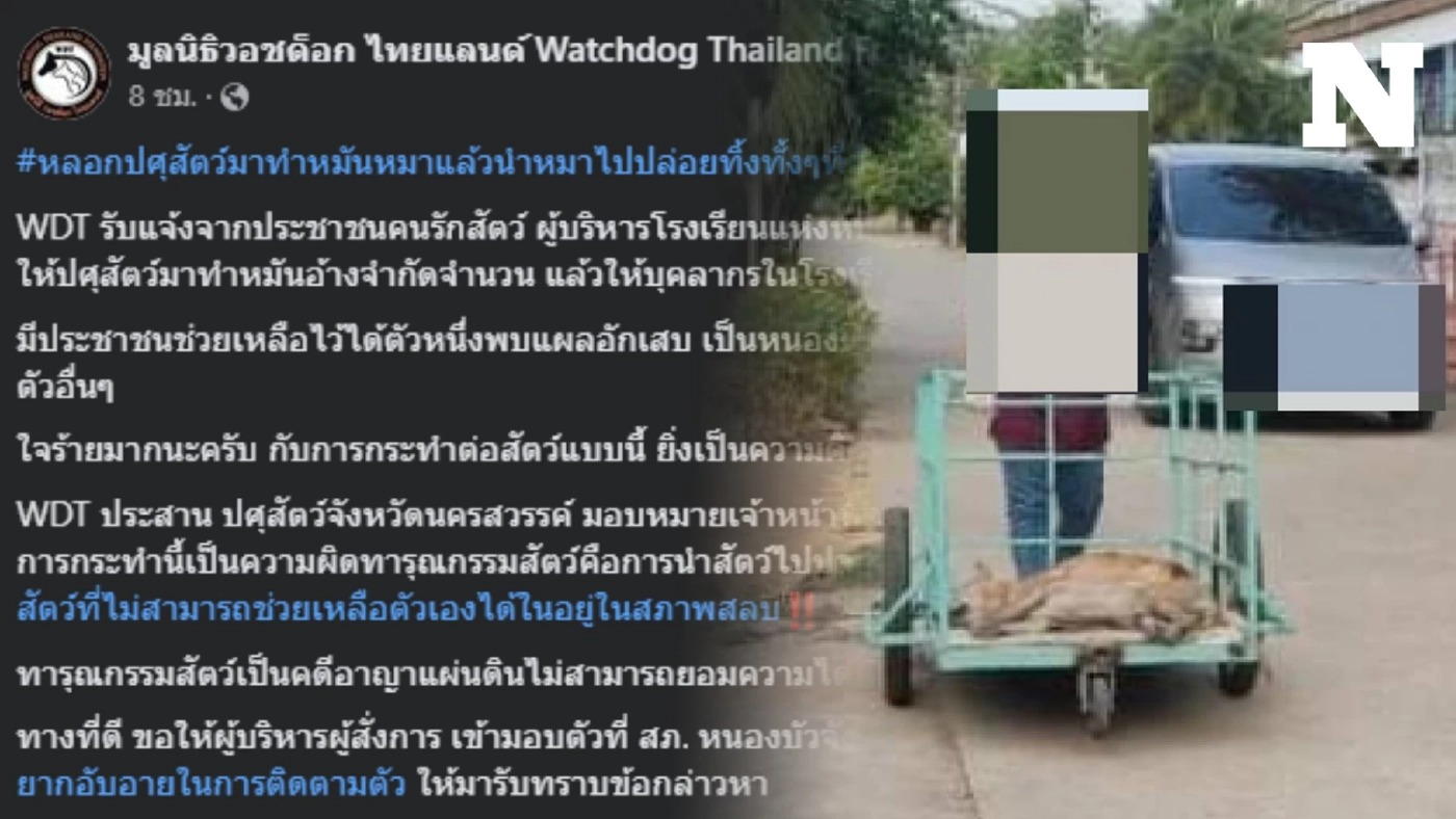 คิดได้ไง ผอ.รร.ดัง หลอกปศุสัตว์มาทำหมันสุนัข ก่อนให้เอาไปปล่อยทั้งที่สลบ คิดได้ไง ผอ.รร.ดัง หลอกปศุสัตว์มาทำหมันสุนัข ก่อนให้เอาไปปล่อยทั้งที่สลบ