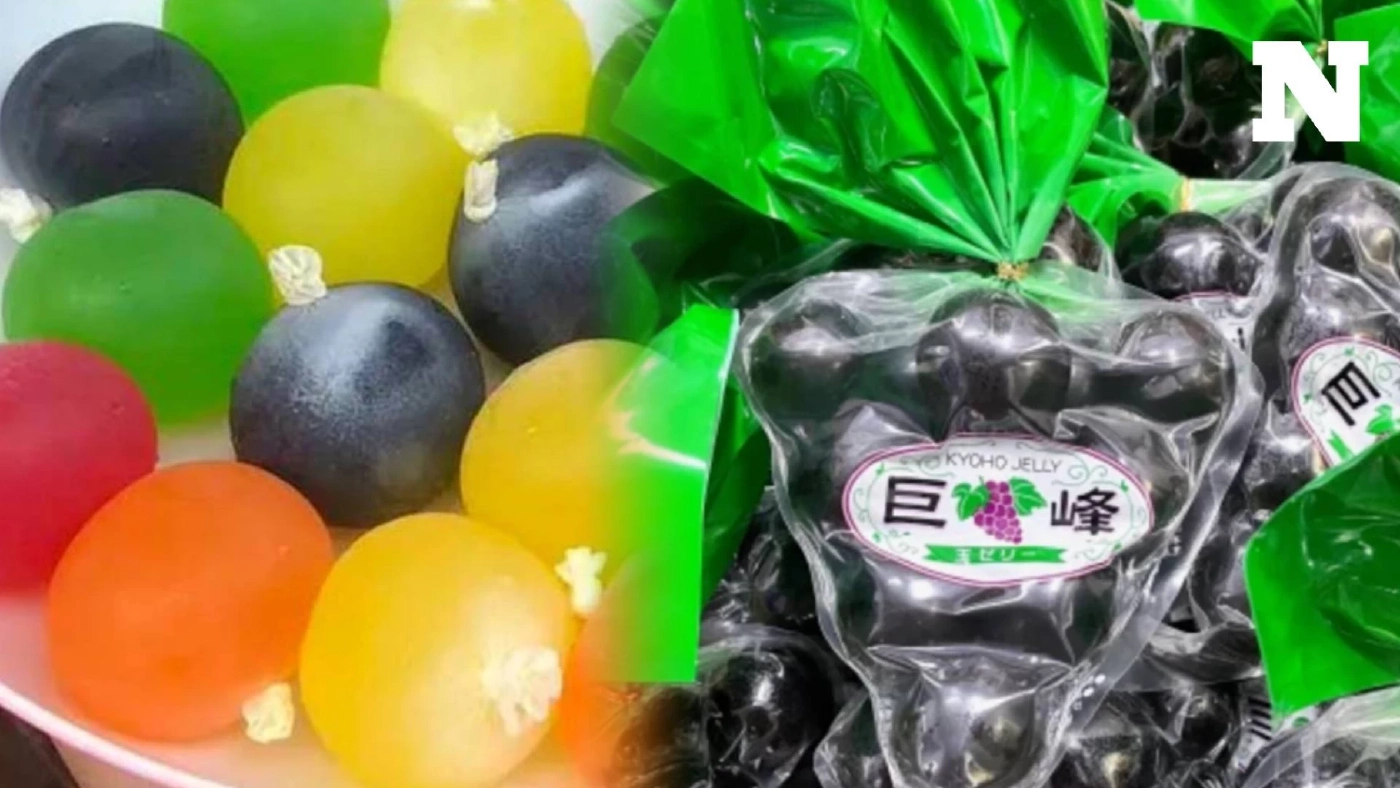 พบเยลลี่ดังในโซเชียล ใช้ที่บรรจุคล้ายถุงมือยาง อย. เตือน ไม่ควรซื้อมารับประทาน