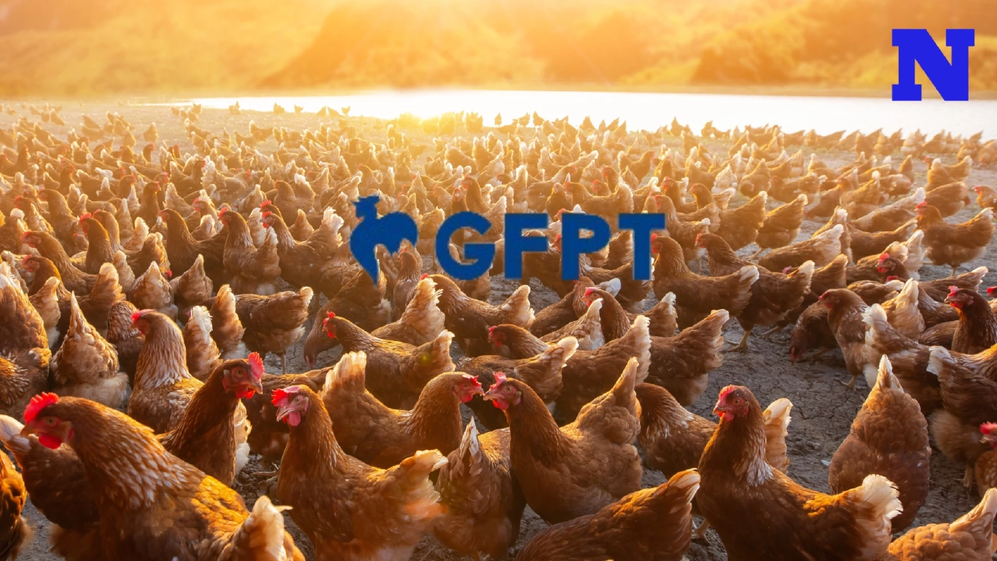 GFPT ทุ่มงบลงทุน 1,500 ล้านบาท  ขยายโรงงานผลิตอาหารไก่