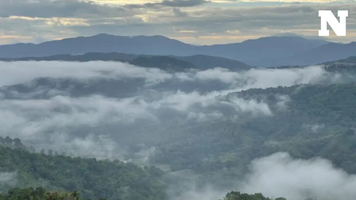 อุตุฯ เตือนลมหนาวระลอกใหม่ พัดปกคลุมไทยช่วงตรุษจีน ทำอุณหภูมิลด-ฝนถล่ม อุตุฯ เตือนลมหนาวระลอกใหม่ พัดปกคลุมไทยช่วงตรุษจีน ทำอุณหภูมิลด-ฝนถล่ม