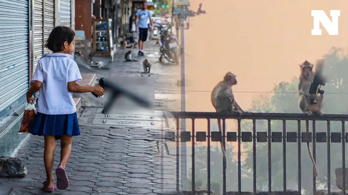 ไวรัลตลกร้าย "วันธรรมดาในลพบุรี" ส่องมาตรการแก้ปัญหา ที่คนในพื้นที่ยังรอ