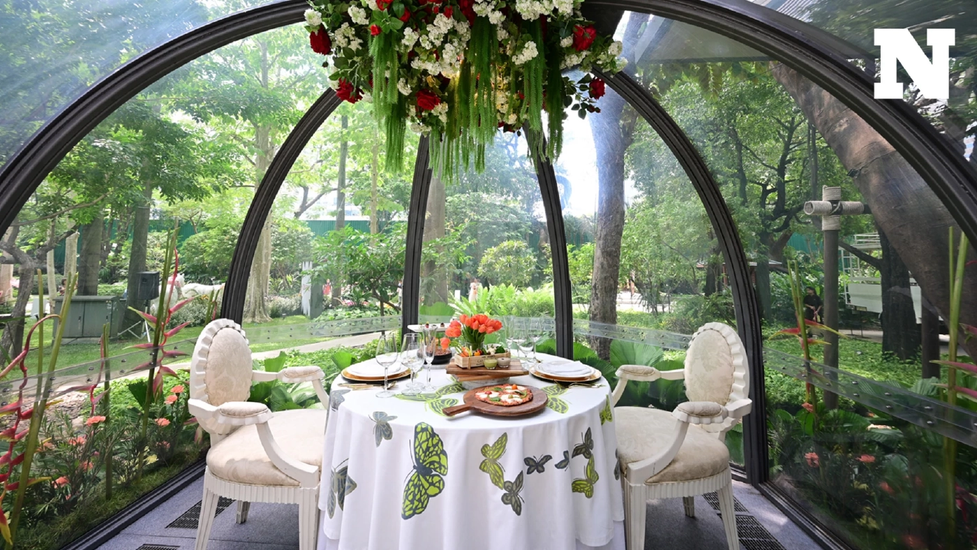 ถ่ายรูปให้ฉ่ำที่ งานดอกไม้ปาร์คนายเสิศ เทศกาลที่คนรักศิลปะและดอกไม้รอคอย