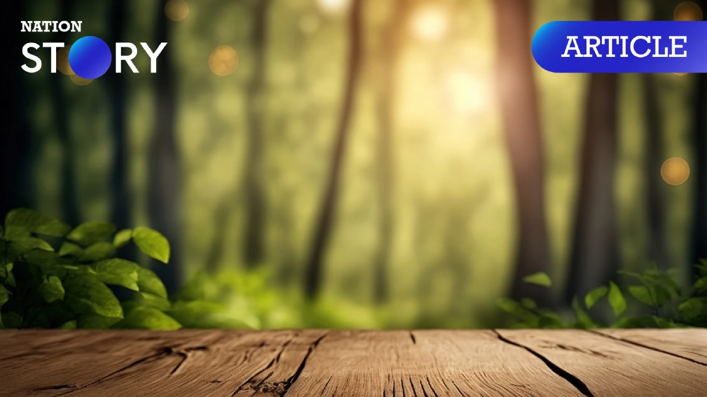 เปิดข้อมูลน่ากังวล อีก 100 ปีข้างหน้า ประเทศไทยอาจไม่เหลือพื้นที่ป่า