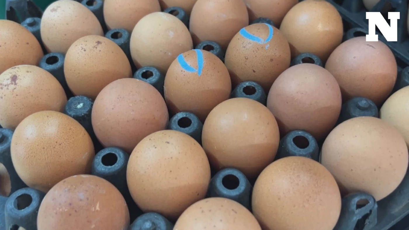 ร้านขายไข่โอด "ไข่ไก่" ขึ้นราคารอบที่ 2 ของเดือน คนซื้อน้อยลง ซ้ำอากาศร้อนดูแลรักษายาก ร้านขายไข่โอด "ไข่ไก่" ขึ้นราคารอบที่ 2 ของเดือน คนซื้อน้อยลง ซ้ำอากาศร้อนดูแลรักษายาก