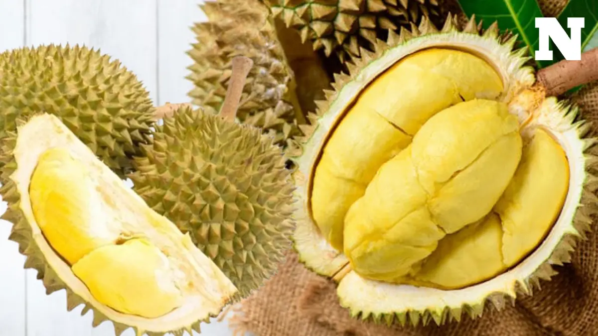กินให้จุใจ! กินให้หายอยาก! เปิดโปร "ทุเรียน Expo สี่มุมเมือง 2024"
