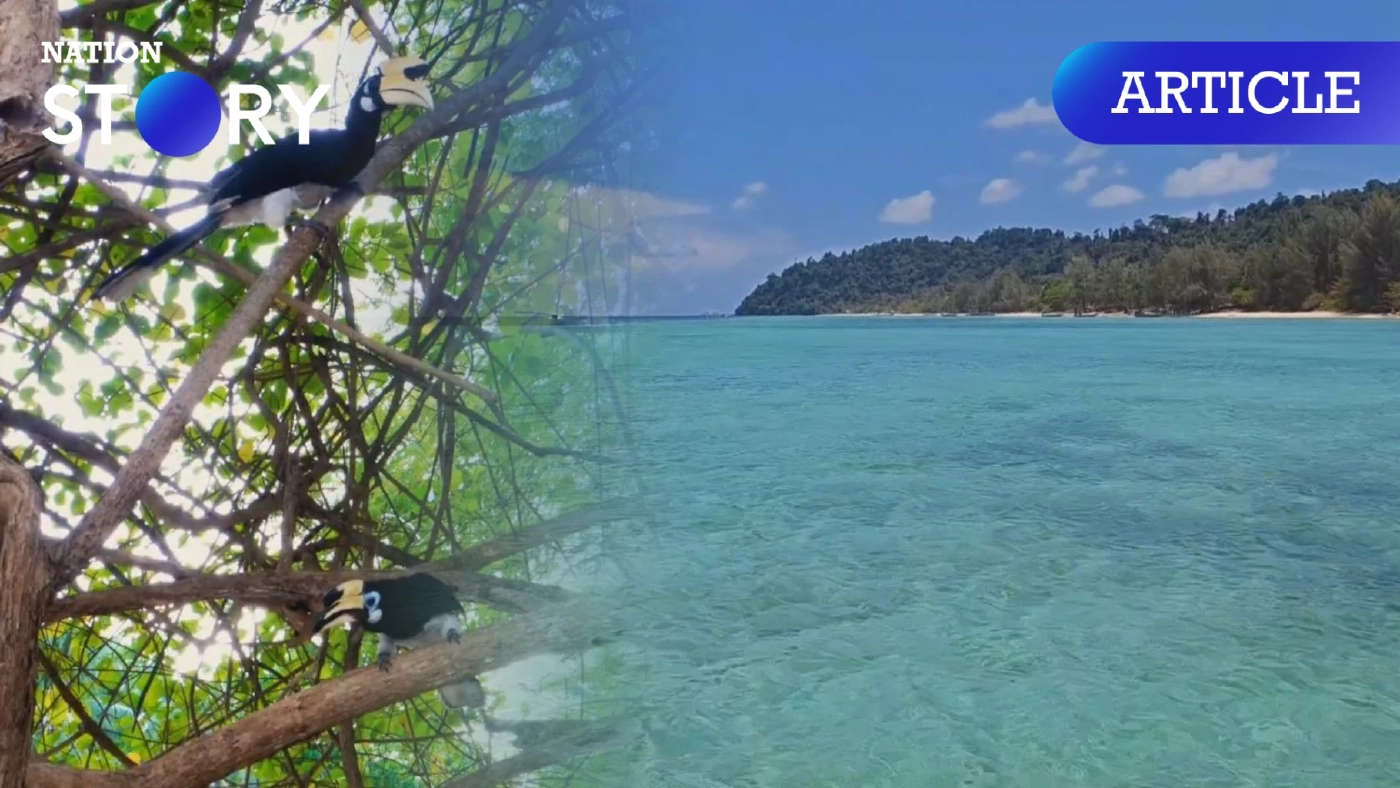 เปิดไฮไลต์ เที่ยว "เกาะไหง" หาดทรายขาว ชมฝูงนกเงือกนับร้อย ดำน้ำใสดูความสวยงามโลกใต้ทะเล