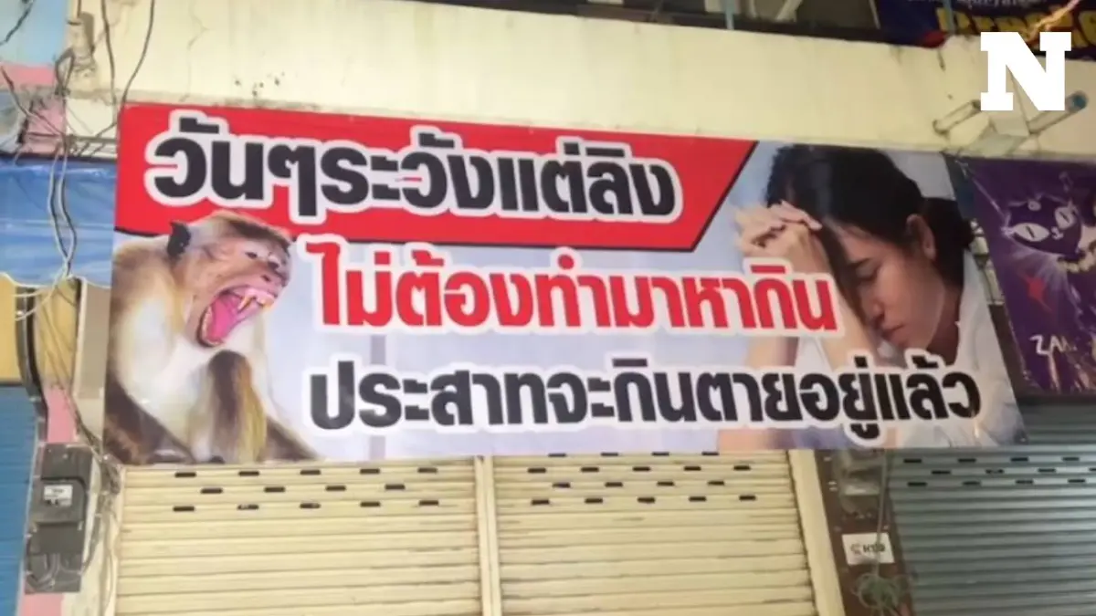 ชาวตลาดลพบุรี ขึ้นป้ายประท้วงกรมอุทยานฯ หลังโดนกล่าวหาคนรังแกลิง