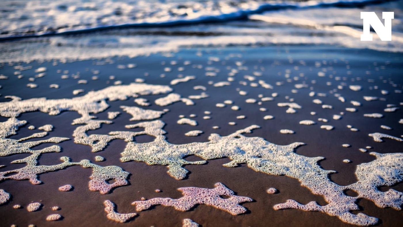 โลกเดือดไม่พอ ดร.ธรณ์ เผยเอลนีโญบวกโลกร้อนทำ “ทะเลเดือด” ผลพวงเพียบ