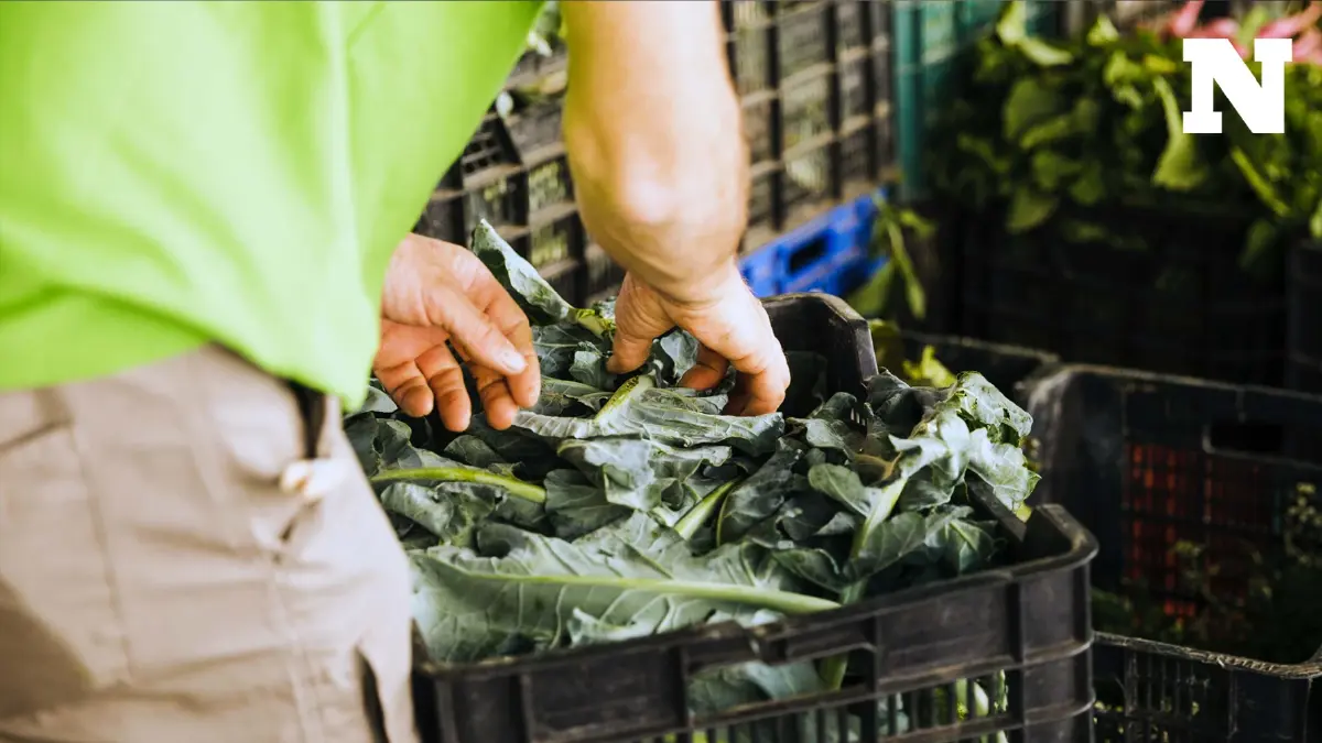 “ตลาดมหานาค” แชมป์ตลาดแยกขยะเศษอาหาร รวม 184 ตลาดใน กทม. แยกได้ 75 ตันต่อวัน