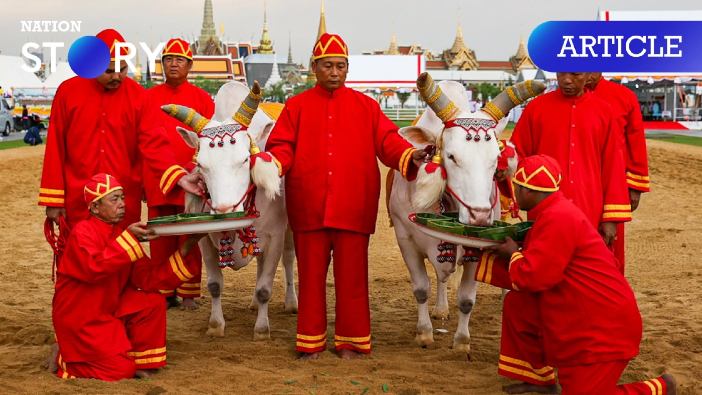 เปิดความสำคัญ พร้อมคำทำนาย เสี่ยงทายผ้า 5 คืบ "พระโค" กินเลี้ยง วันพืชมงคล 67
