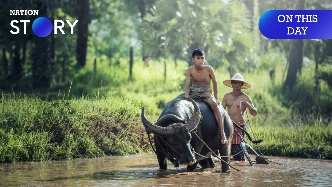 14 พฤษภาคมของทุกปี "วันอนุรักษ์ควายไทย" อย่าให้เจ้าทุยต้องเหลือแค่ตำนาน