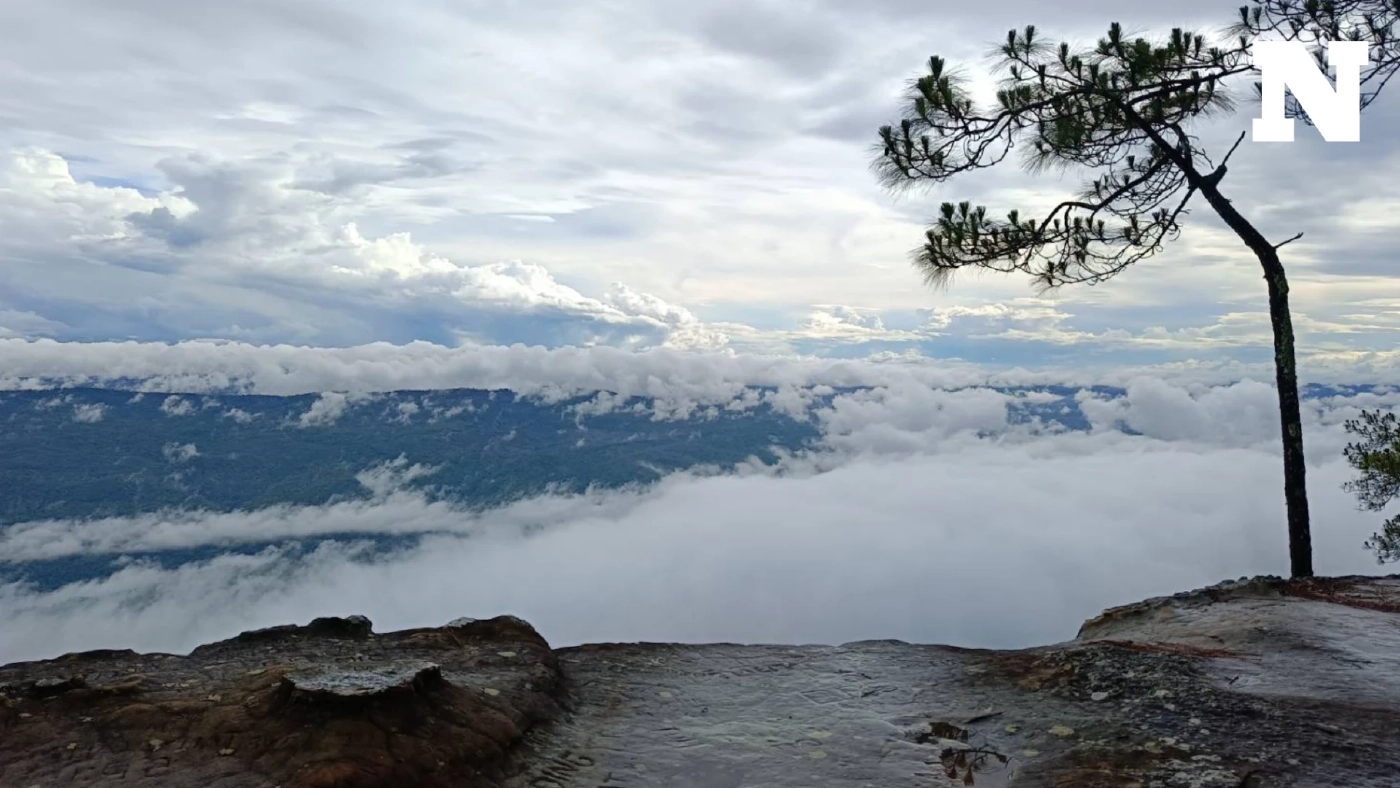 หลายภาคส่วน ร่วม "ส่งภูกระดึงเข้านอน" ปิดฤดูกาลท่องเที่ยว เพื่อให้ธรรมชาติได้ฟื้นฟู หลายภาคส่วน ร่วม "ส่งภูกระดึงเข้านอน" ปิดฤดูกาลท่องเที่ยว เพื่อให้ธรรมชาติได้ฟื้นฟู