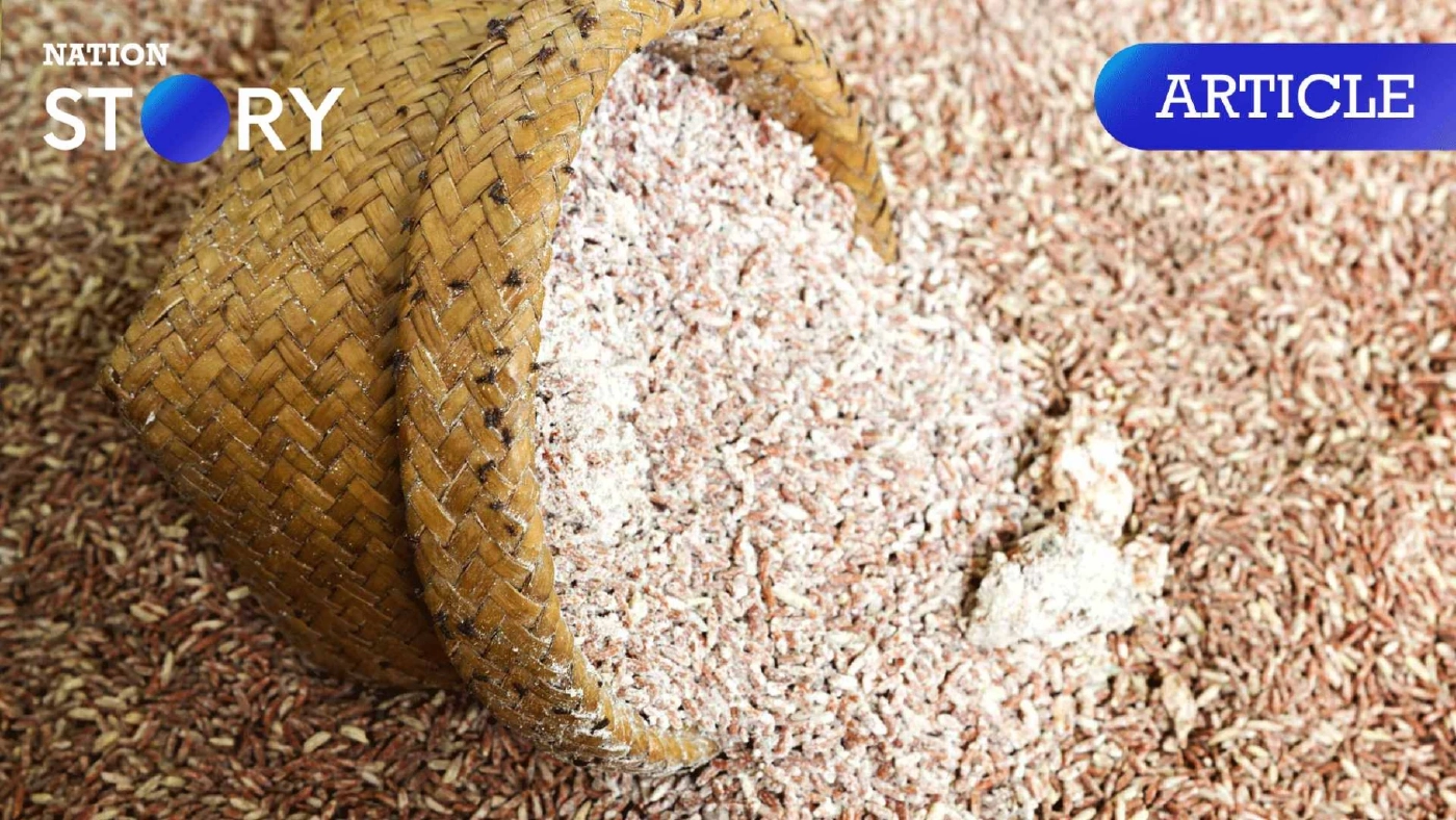 “อะฟลาท็อกซิน” สารพิษก่อมะเร็งร้ายแรง ของแถมในข้าวสาร-อาหารแห้งเก่าเก็บ