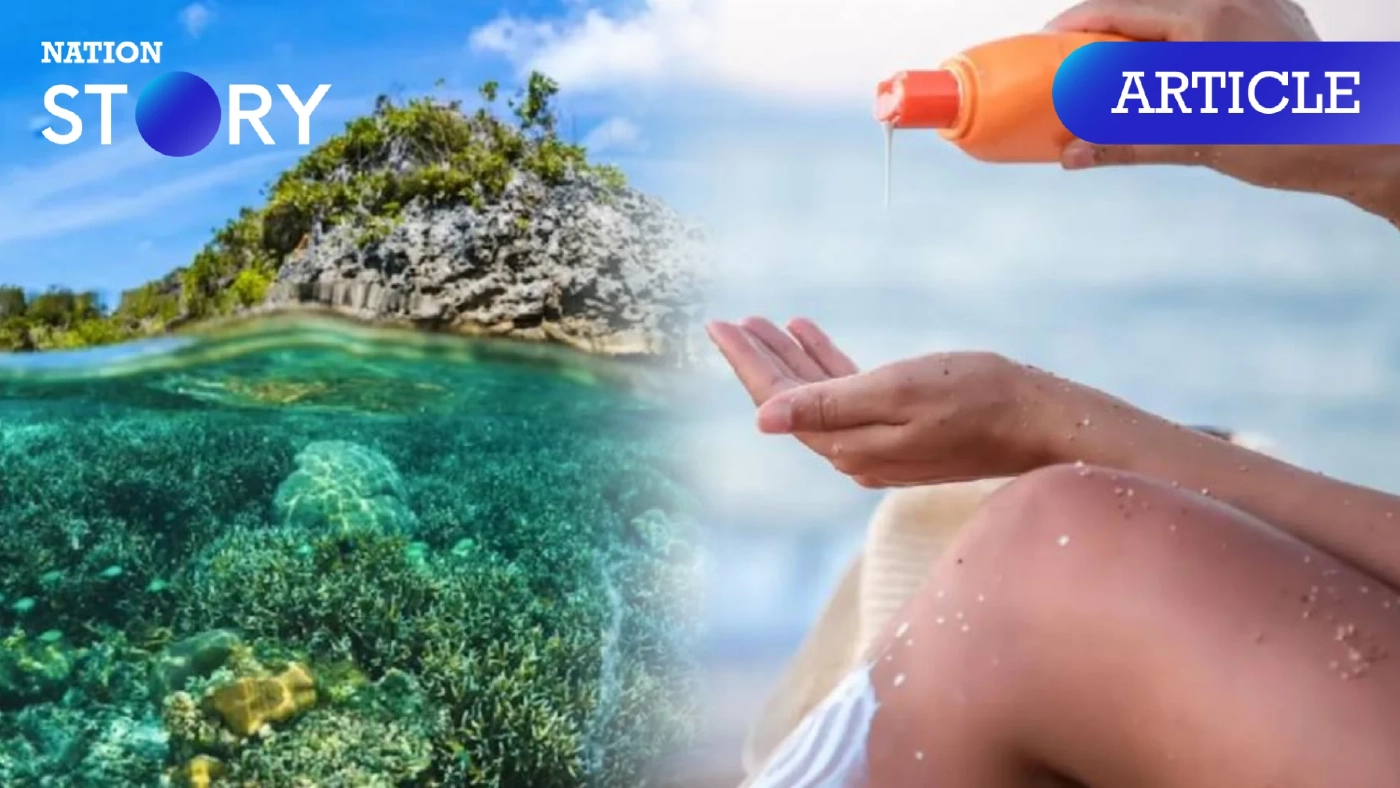 เปิด 4 วิธีช่วยปะการัง พร้อมทริคเลือกครีมกันแดดอย่างไร ให้เป็นมิตรต่อท้องทะเล