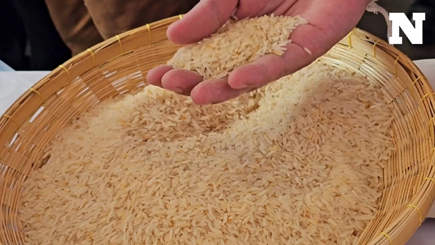 อดีตเจ้าของโรงสีภาคอีสาน มั่นใจ "ข้าว 10 ปี" สารอาหารคงเดิม รับรองกินแล้วไม่ตาย