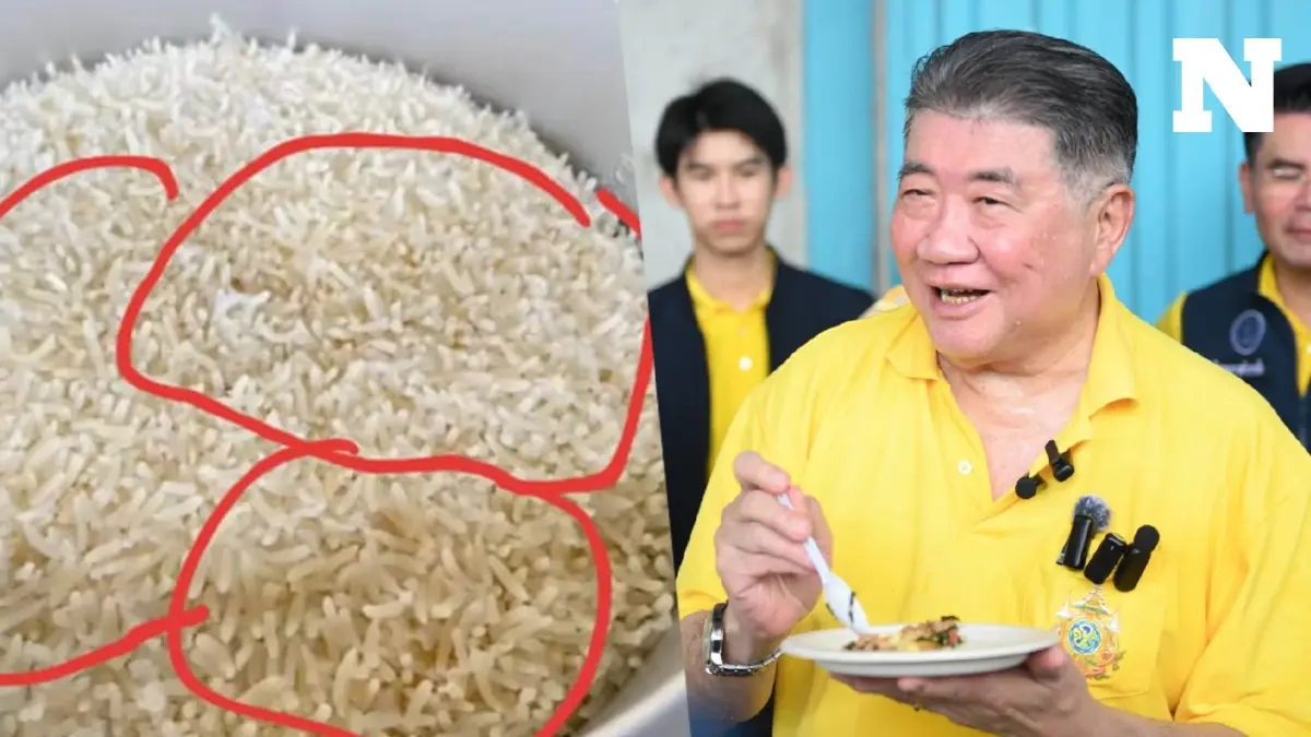 อาจารย์ มช. กังวลกินข้าว 10 ปี รับสารพิษเชื้อรา แนะใช้ทำแอลกอฮอล์ น้ำส้มสายชู