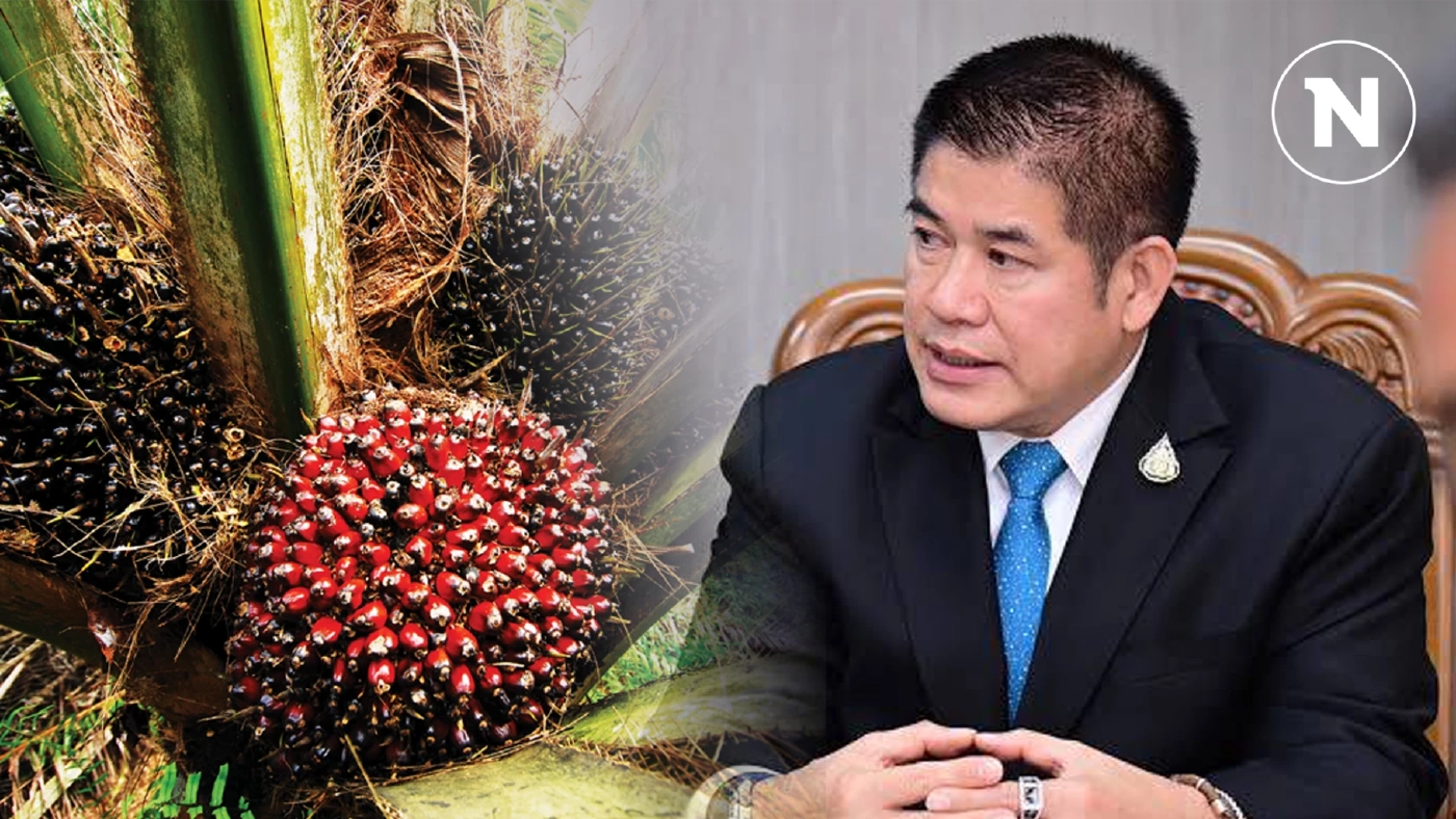 "ธรรมนัส" เตรียมชง กนป.แก้ปัญหาราคาปาล์มตกต่ำ มั่นใจแก้ปัญหาได้