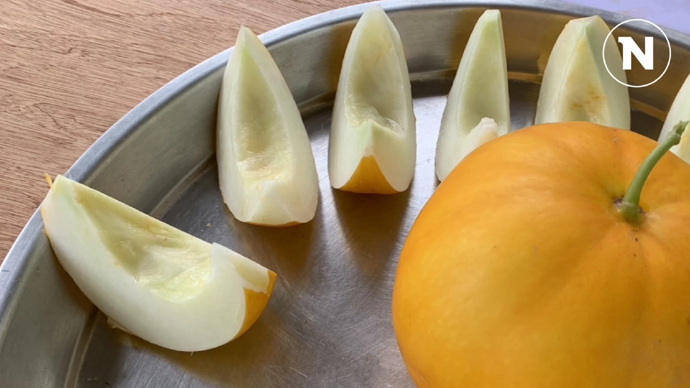 "แตงส้ม" พืชเศรษฐกิจตัวใหม่ ปลูก 30 วันเก็บขาย รังสรรค์ได้สารพัดเมนู