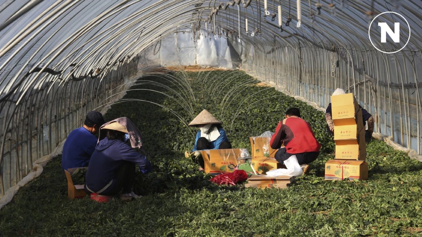 ไทยครองแชมป์ "ผีน้อย" ในเกาหลีใต้ สัดส่วน 35 % แซงทุกชาติในอาเซียน