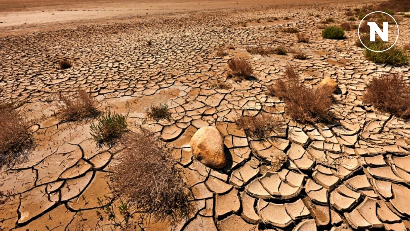 จากโลกร้อนสู่ "ทะเลทราย" ประเทศไทยมีโอกาสมากน้อยแค่ไหน? จากโลกร้อนสู่ "ทะเลทราย" ประเทศไทยมีโอกาสมากน้อยแค่ไหน?