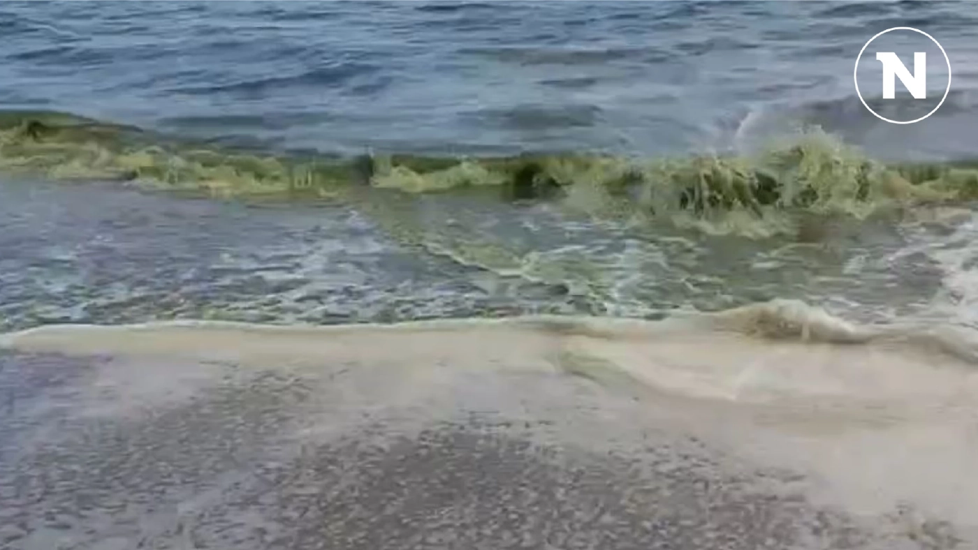 แห่เที่ยวบางแสนวันหยุด สุดเซ็ง พบน้ำทะเลเป็นสีเขียว สาเหตุเกิดจากแพลงก์ตอนบลูม แห่เที่ยวบางแสนวันหยุด สุดเซ็ง พบน้ำทะเลเป็นสีเขียว สาเหตุเกิดจากแพลงก์ตอนบลูม