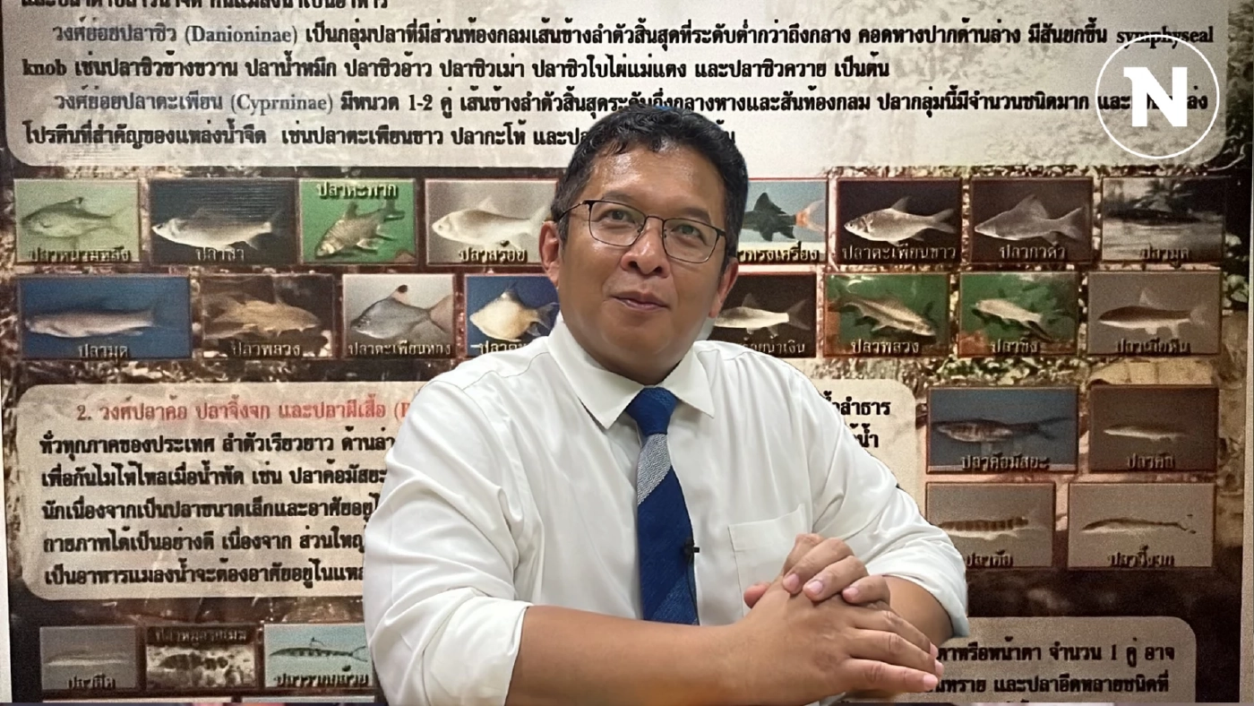 "นักวิชาการแม่โจ้" แนะใช้ "ไซยาไนด์" กำจัดปลาหมอคางดำ พื้นที่วิกฤติหนัก