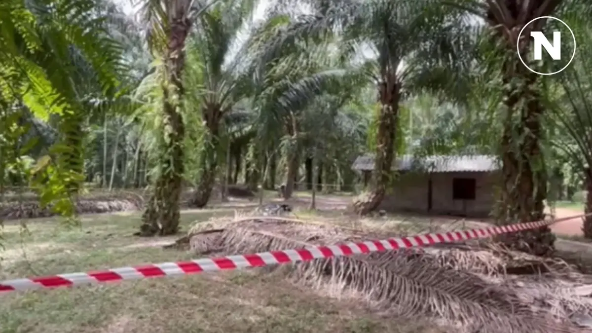 ชายคลั่งฟันหลานสะใภ้ดับ ลูกสาวเจ็บสาหัส