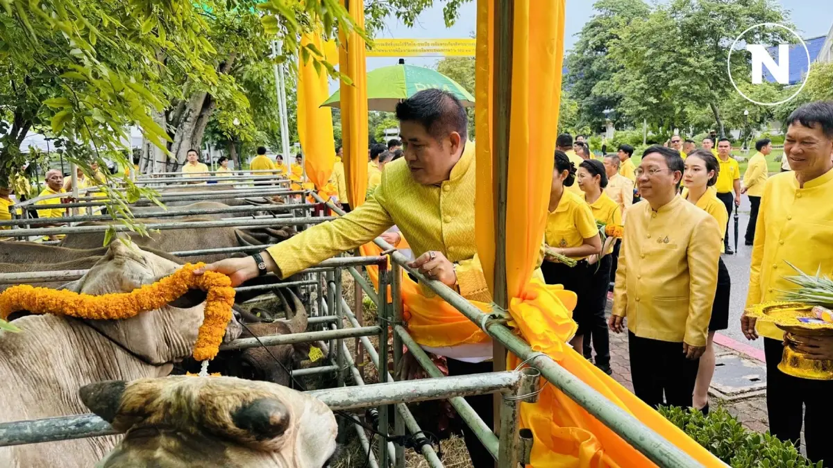 "ธรรมนัส" นำทีม กรมปศุสัตว์ จัดพิธีไถ่ชีวิตโค - กระบือ เฉลิมพระเกียรติ