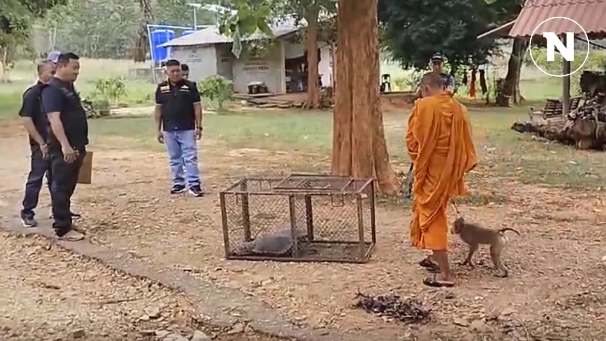 จับเจ้าอาวาสซุกสัตว์ป่าสงวน สัตว์ป่าคุ้มครองคาสำนักสงฆ์