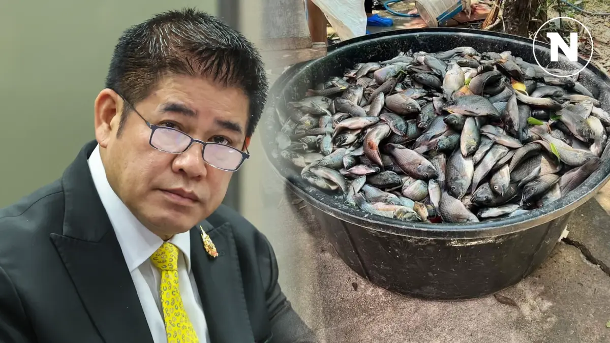 "ธรรมนัส" ฉุนถูกไล่บี้ปม "ปลาหมอคางดำ" ไหลพร้อมน้ำหลาก บอกตอนนี้เริ่มหาจับยากแล้ว "ธรรมนัส" ฉุนถูกไล่บี้ปม "ปลาหมอคางดำ" ไหลพร้อมน้ำหลาก บอกตอนนี้เริ่มหาจับยากแล้ว