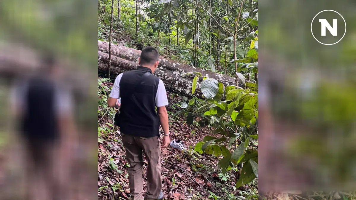 หนุ่มจีนสุดเศร้า! อุบัติเหตุต้นไม้โค่น-สลิงขาด ทำให้ภรรยาเสียชีวิต