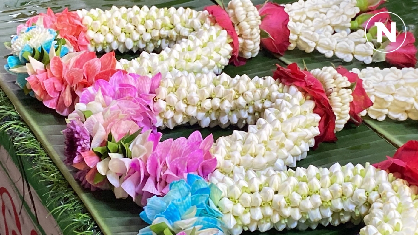 ดอกมะลิวันแม่ราคาพุ่ง ที่โคราช กก. ละ 2,600 แม่ค้าต้องใช้ดอกพุดร้อยมาลัยแทน