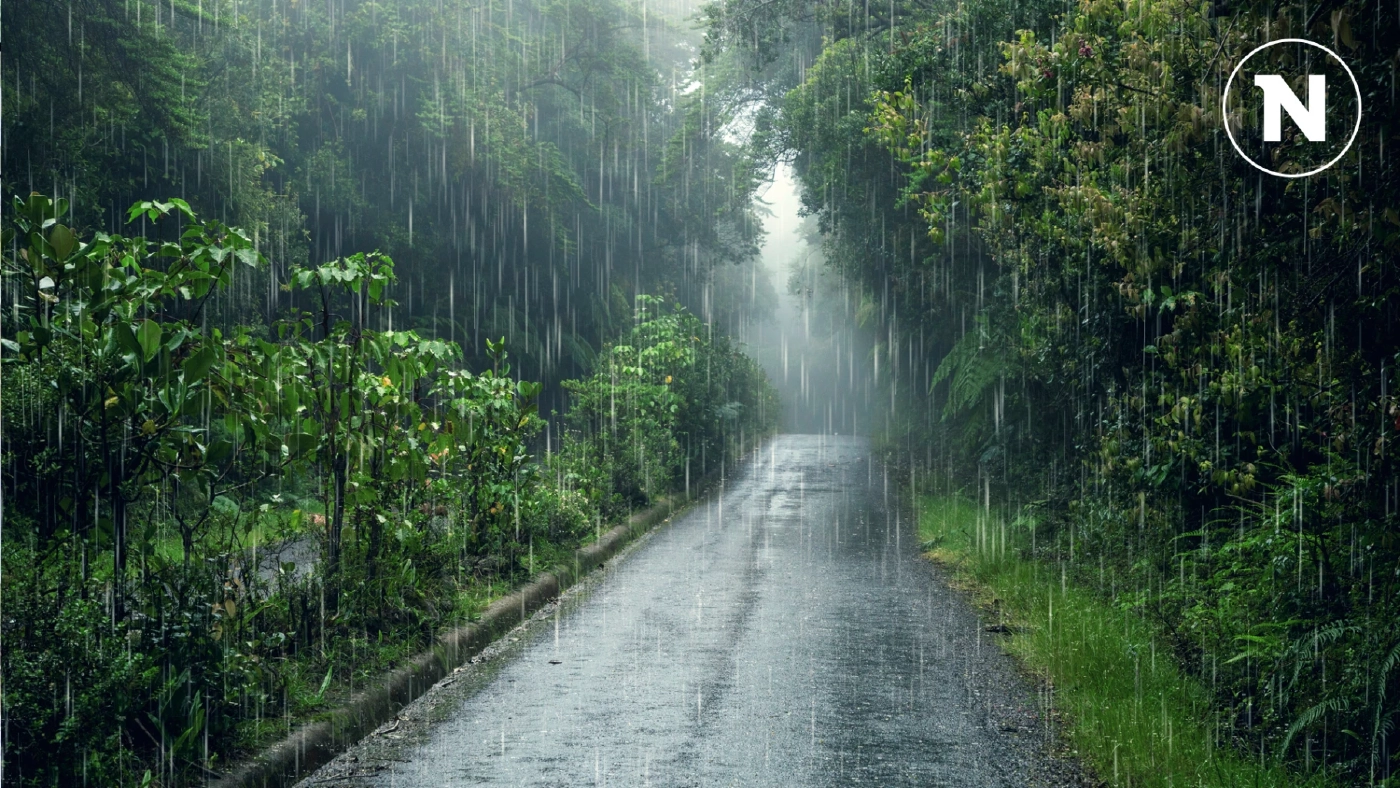 กทม.-ปริมณฑล ฝนฟ้าคะนอง ร้อยละ 60 ภาคเหนือตอนบน ระวังน้ำท่วม-น้ำป่าไหลหลาก