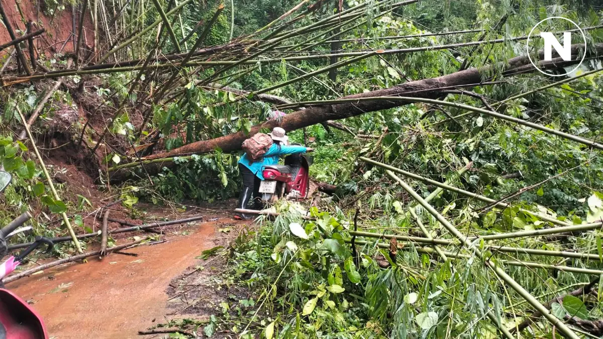ฝนถล่มแม่ฮ่องสอน นอภ.สั่งทุกพื้นที่ พร้อมรับมือน้ำท่วมฉับพลัน ฝนถล่มแม่ฮ่องสอน นอภ.สั่งทุกพื้นที่ พร้อมรับมือน้ำท่วมฉับพลัน