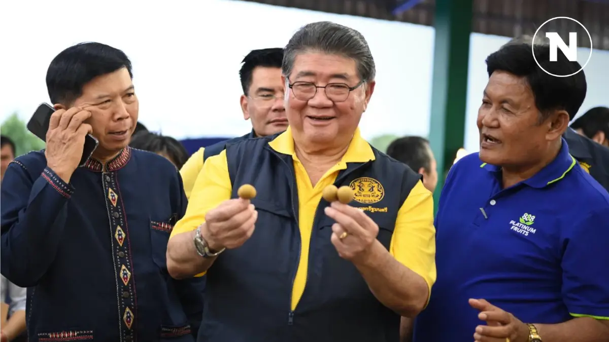 พาณิชย์ปลื้มลำไยราคาพุ่ง เร่งแก้ขาดแรงงานเก็บผลผลิต พาณิชย์ปลื้มลำไยราคาพุ่ง เร่งแก้ขาดแรงงานเก็บผลผลิต