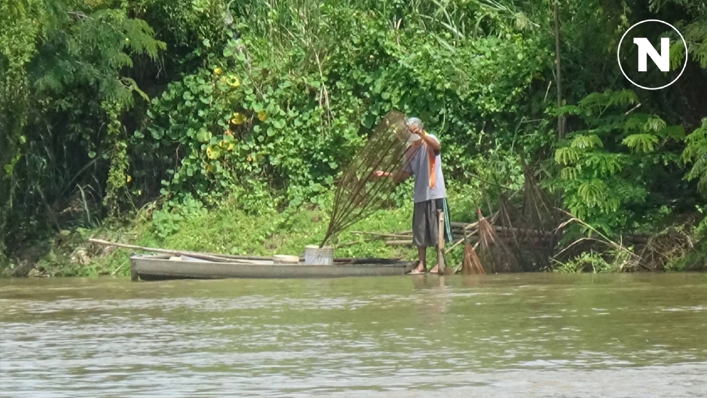 วิถีชุมชนชาวบ้านปากคลองบางระกำ พิษณุโลก หาปลาเป็นรายได้เสริม ช่วงน้ำท่วม