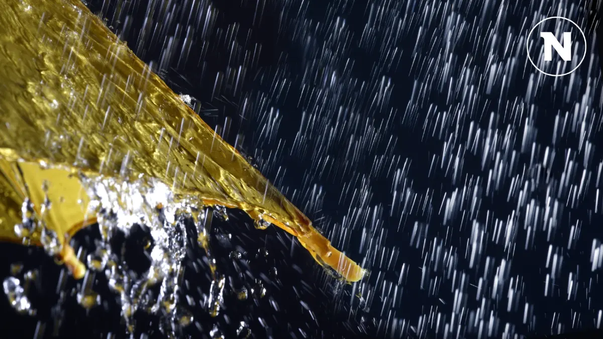 กทม.-ปริมณฑล ฝนตกหนักบางแห่ง เหนือ-อีสาน ระวังน้ำท่วมฉับพลัน-น้ำป่าหลาก