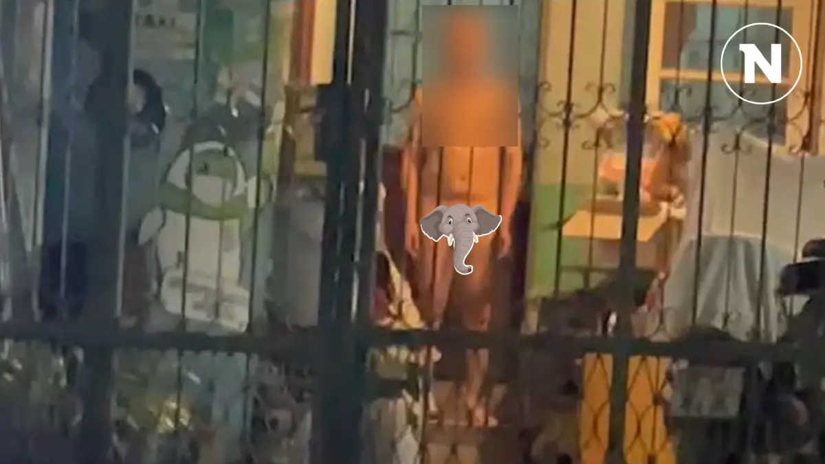 "กัน จอมพลัง" บุกช่วยเอฟซี ทนลุงเพื่อนบ้านไม่ไหวชอบโชว์ "ปิกาจู"