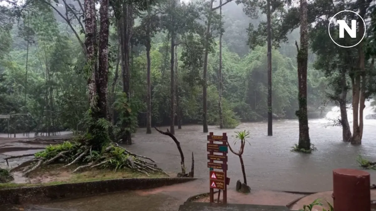 สั่งปิด “อุทยานภูลังกา” หลังฝนตกหนักดินสไลด์ น้ำป่าทะลัก สั่งปิด “อุทยานภูลังกา” หลังฝนตกหนักดินสไลด์ น้ำป่าทะลัก